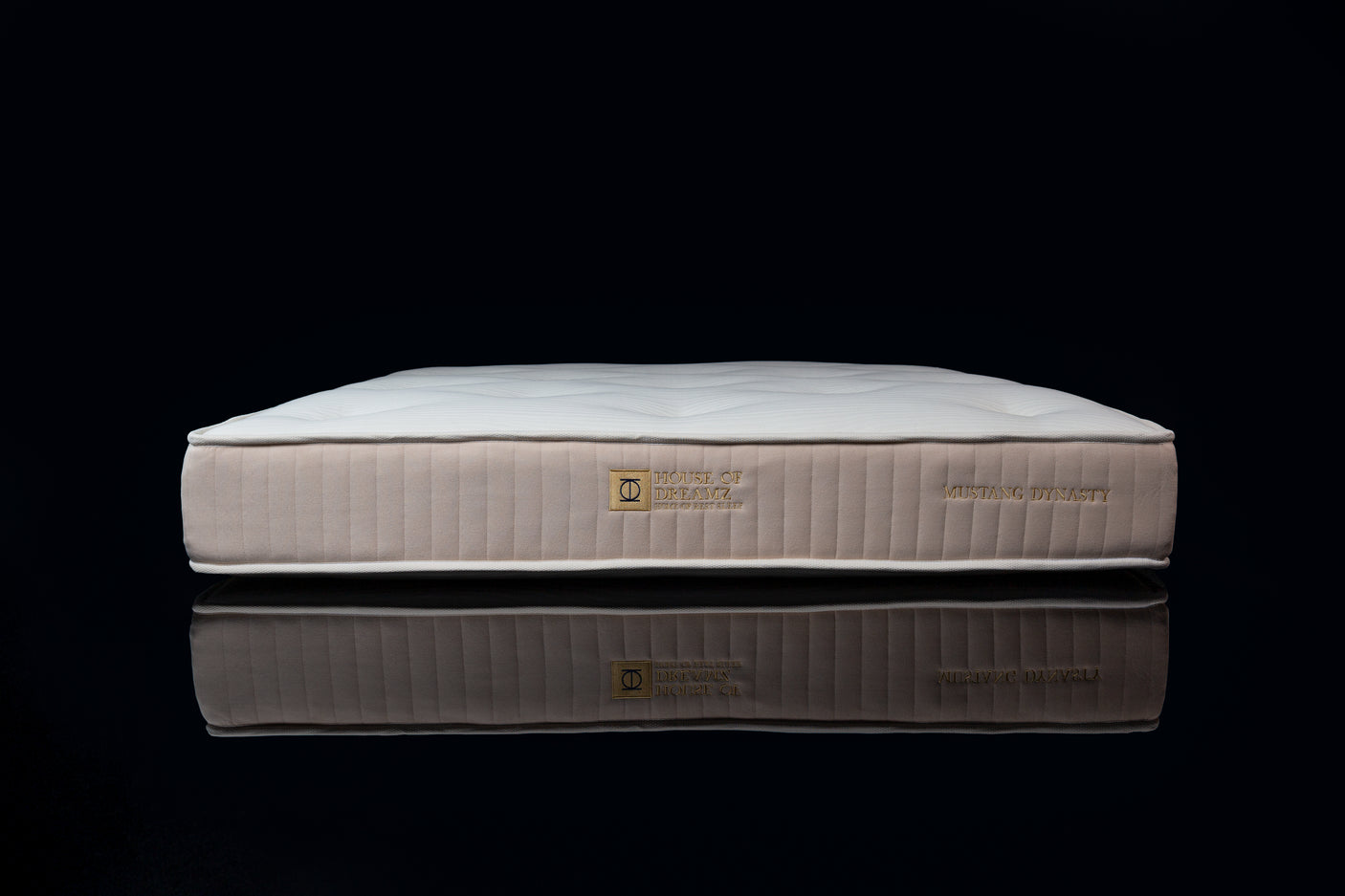 Not for everyone - DINASTIJA MUSTANG