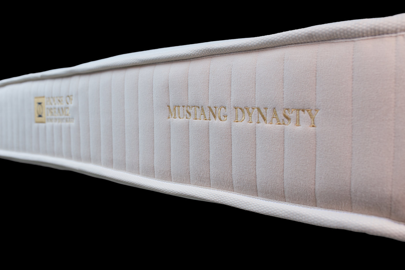 Not for everyone - DINASTIJA MUSTANG