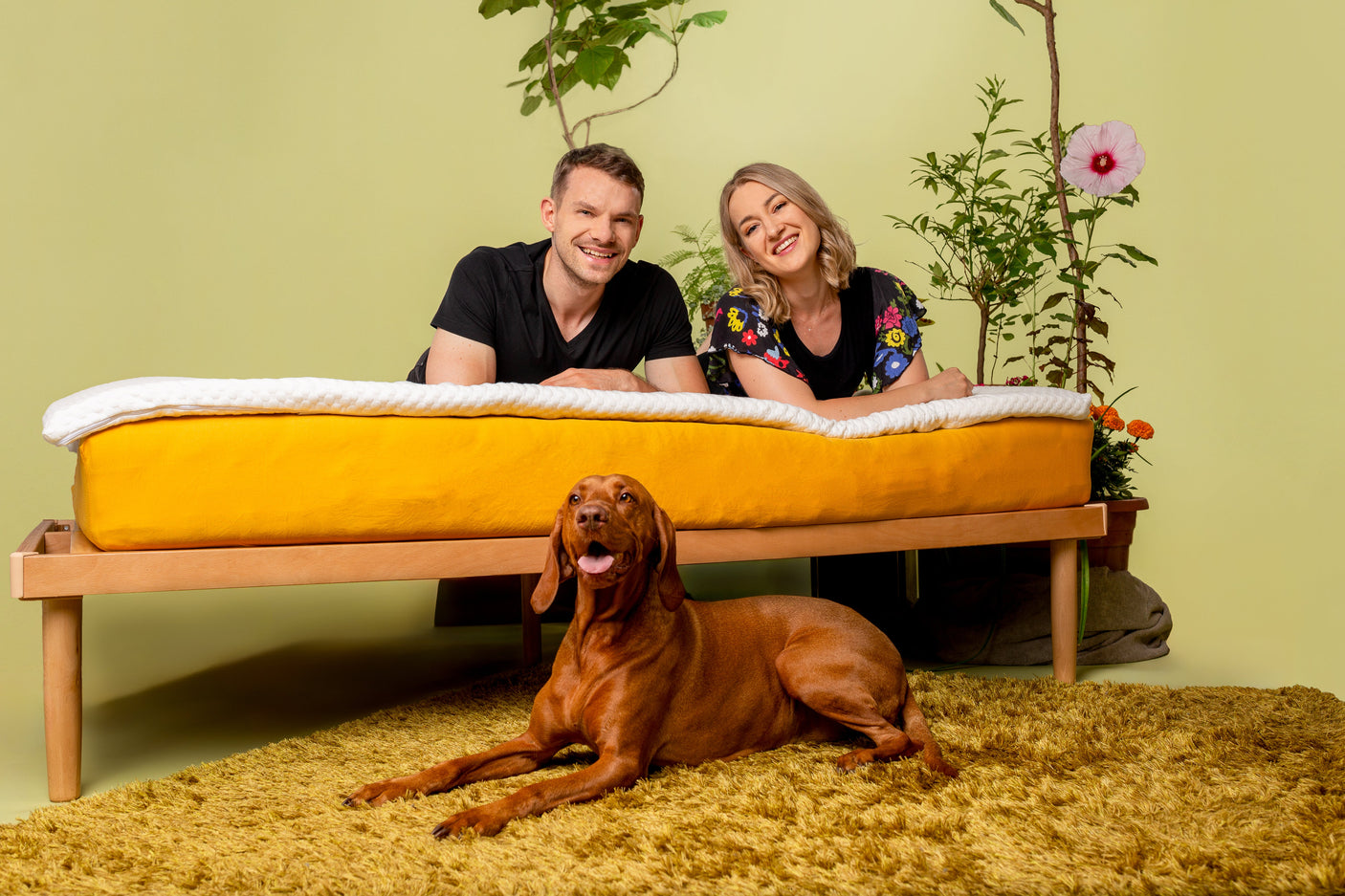 House Of dreamz - Nadmadrac od prirodnog lateksa - House Of Dreamz