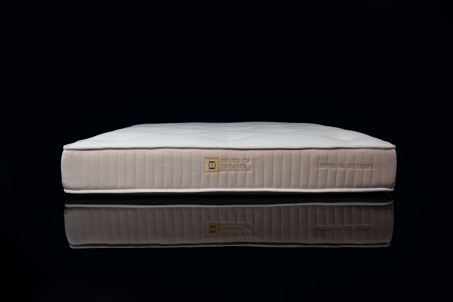 Not for everyone - DINASTIJA MUSTANG